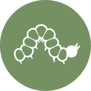 2nd/3rd: Growing UU Love & Justice 2nd/3rd: Growing UU Love & Justice