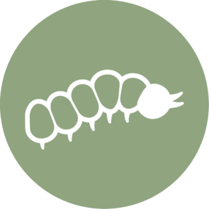 Kindergarten/1st: Creating Home Kindergarten/1st: Creating Home