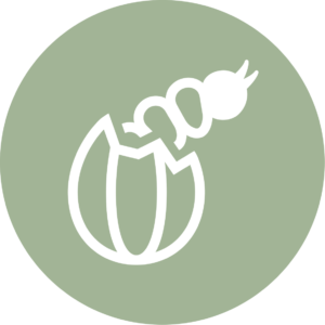 Pre-K: Celebrating Me & My World Pre-K: Celebrating Me & My World