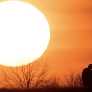 To Witness and To Testify