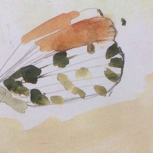 The Cross and the Chrysalis