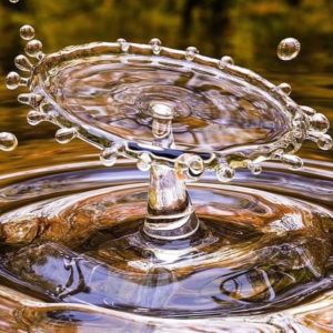 Showing Up Today for the Community of Tomorrow