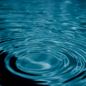 “Beauty is Relationship”