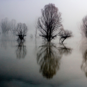 I Am Lost. I Am Found.