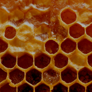 The Sublime in the Ordinary