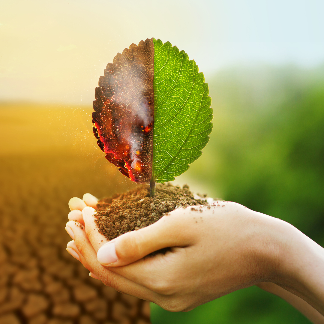 r.r.r. climate workgroup r.r.r. climate workgroup