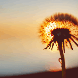 “Martha and Mary”