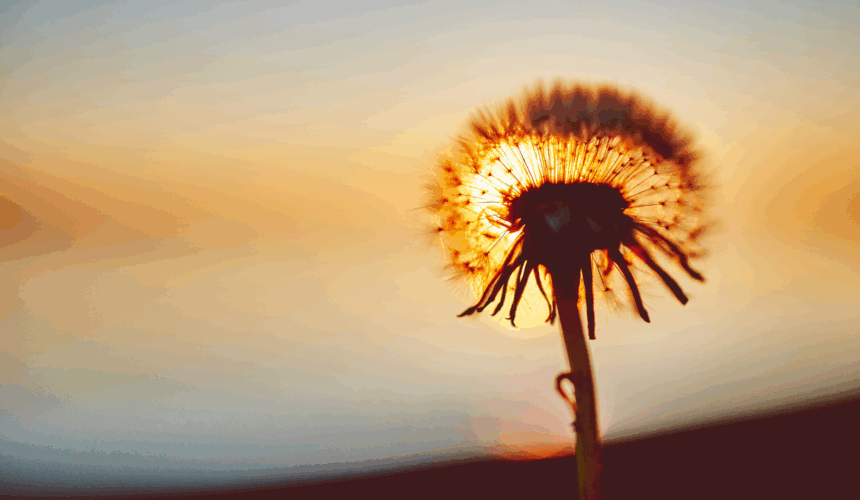 “Martha and Mary”