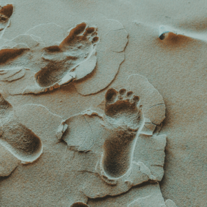 “What Do We Do Now?”