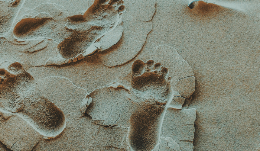 “To Feel It All”