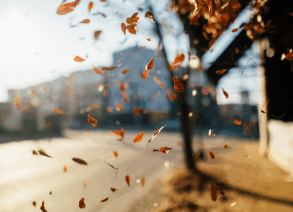 “Gratitude and Reciprocity”