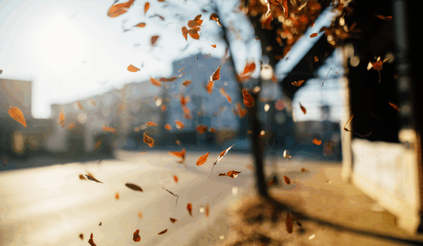 “Sing Out Love” “Sing Out Love”